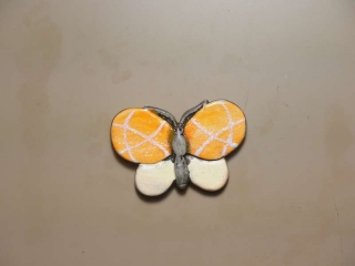 Motýľ 6