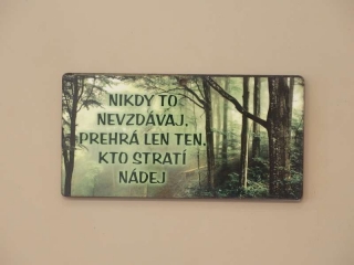 Nikdy sa nevzdávaj