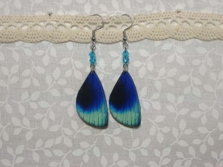 Náušnice krídla 13